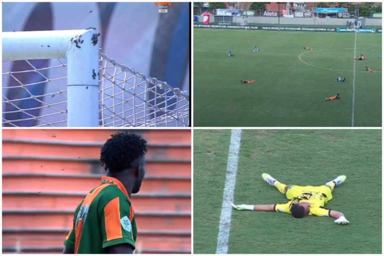 Pravi se fudbalsko čudo - prvi stadion na svetu koji će biti izgrađen kompletno od drveta! (FOTO)