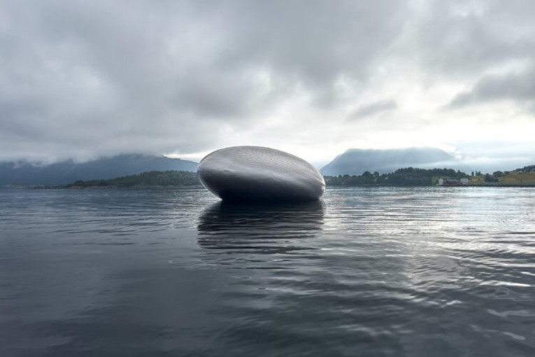 Ogromno je i pluta fjordom kao crno jaje: Norvežani otkrili šta se krije unutra