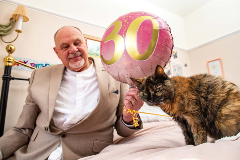 Uginuo Maru, najpoznatiji jutjub mačak i kralj kutija: Ušao je i u Ginisovu knjigu rekorda (VIDEO)