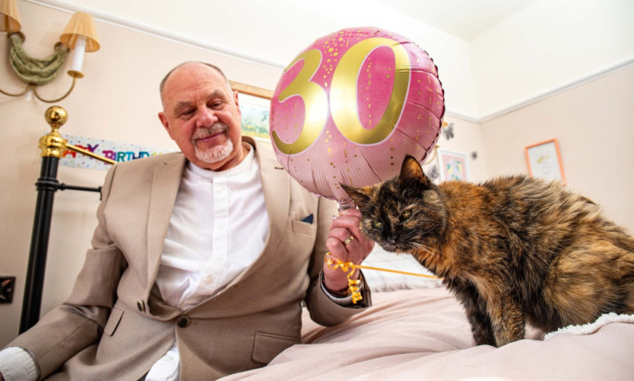 Priča o čudu zvanom Mili, tridesetogodišnjoj mački koja je starija od nameštaja u kući, ali i komšija u ulici