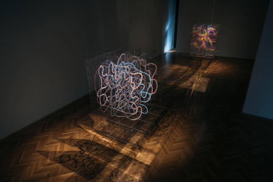 Slike kao da šapuću jedna drugoj: Čudesna izložba "Salivanje snage" Jelene Blečić (FOTO)