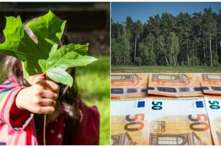 Očuvanjem prirode čuva se ekonomija! Srbija dobila 240 miliona evra nepovratnih sredstava za nove projekte zaštite životne sredine