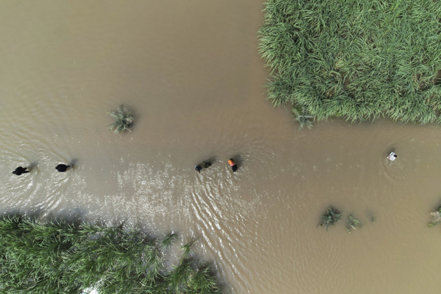 Voda kao oružje: Da li je Indija namerno poplavila Pakistan?