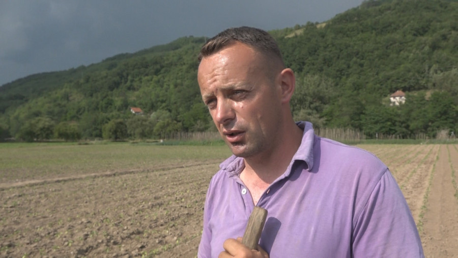 Njegoš je kralj paprike iz Prijepolja! Kilogram košta 250 dinara, a šalje je autobusom čak i za Nemačku!