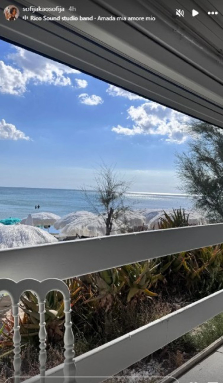 Evo šta radi bivša žena Igora Kojića nakon razvoda: Živi život punim plućima!