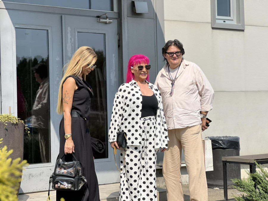 Bukti rat Desingerice i Karleuše u "Pinkovim zvezdama": Niko ne želi da šiješ ljude u glavu!