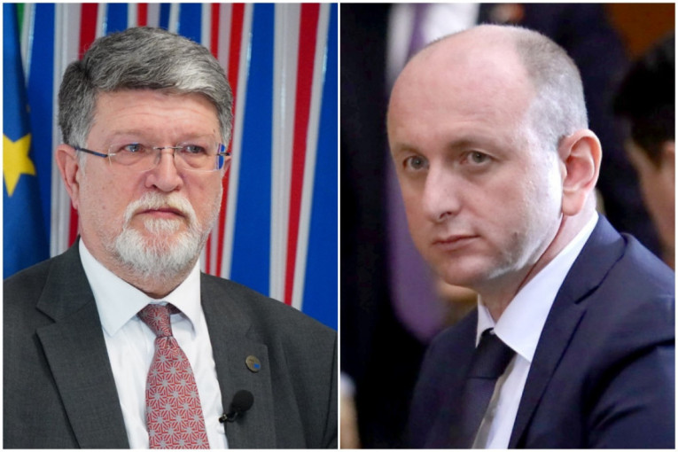 Knežević Piculi: Može li se u EU sa Crnim mambama i 300 hiljada prognanih