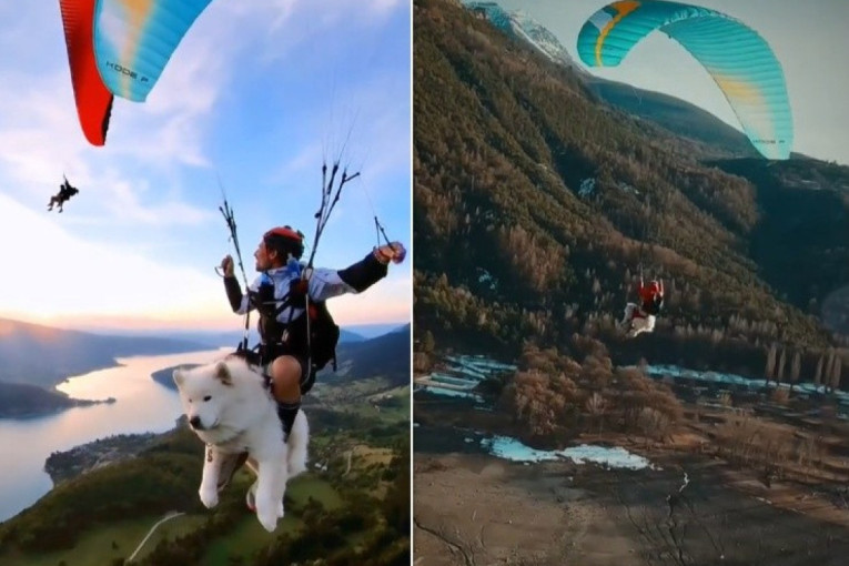 Neobično prijateljstvo koje je osvojilo svet: Kako su pas i vrana postali nerazdvojni prijatelji (VIDEO)