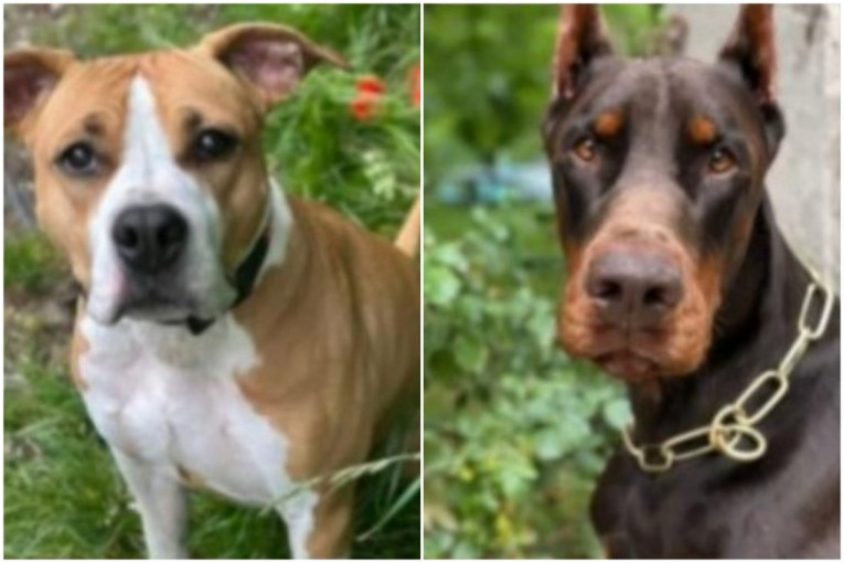 Nestabilno vreme danas: Kiša, grmljavina i olujni vetar širom zemlje!