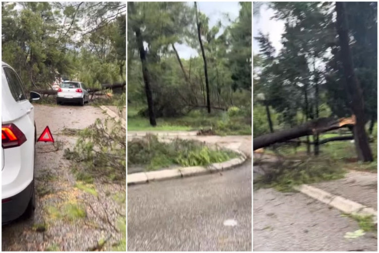 Nevreme sa orkanskim vetrom pogodilo i Mostar: Počupana stabla, smrskani automobili (VIDEO)