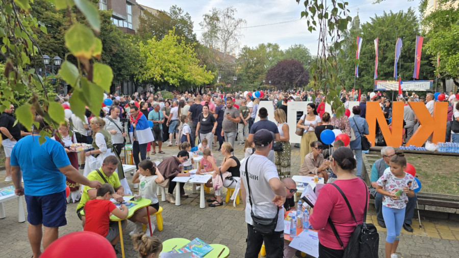 Veličanstveni prizori iz cele Srbije: Nepregledne kolone ljudi širom zemlje se borile za Srbiju (FOTO/VIDEO)