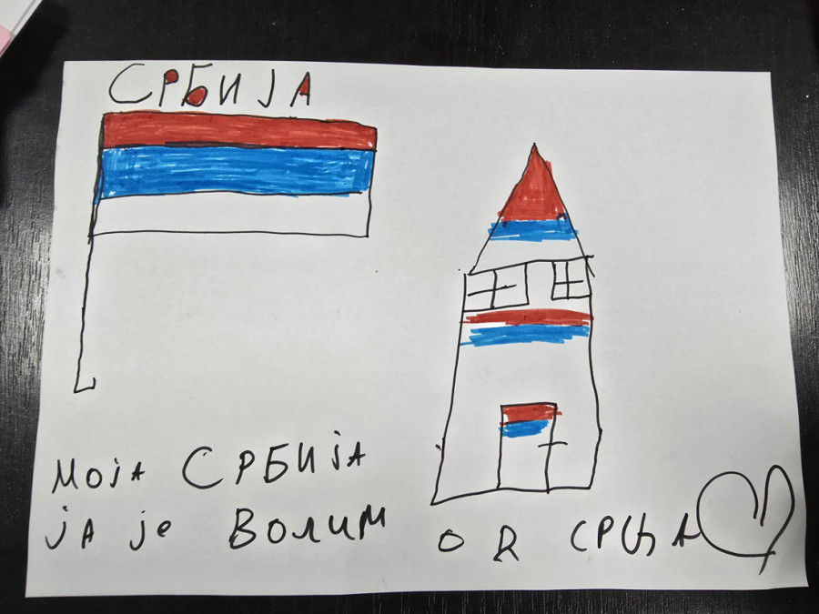 Veličanstveni prizori iz cele Srbije: Nepregledne kolone ljudi širom zemlje se borile za Srbiju (FOTO/VIDEO)