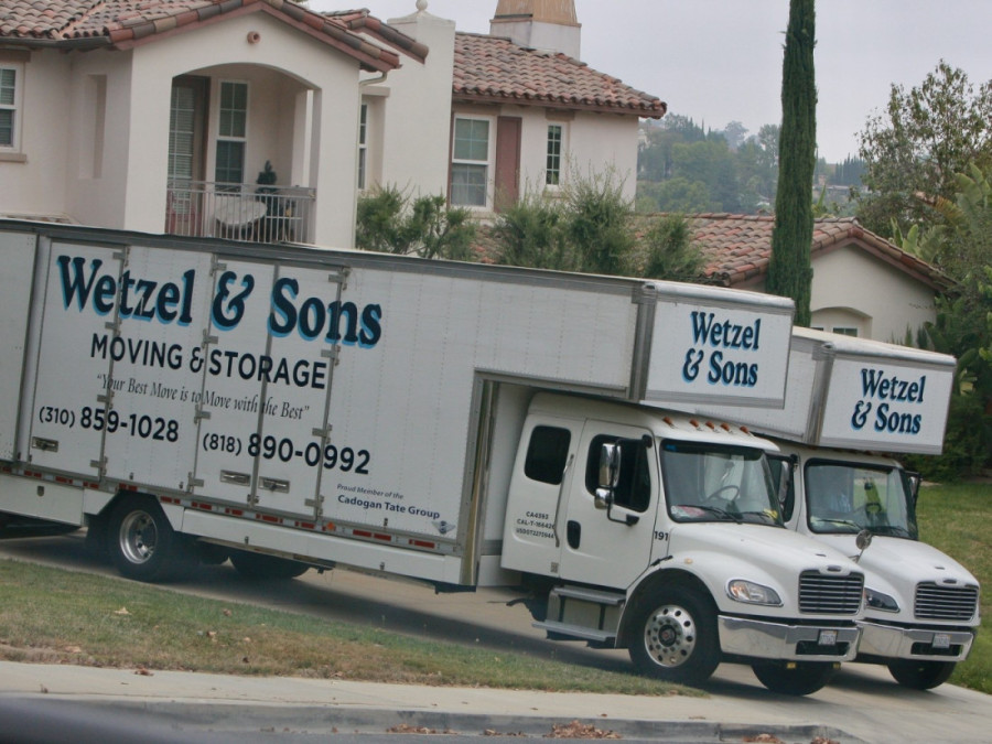 Deniz Ričards beži iz paklenog doma: Sa nekoliko kamiona iznela stvari i spasila 15 pasa od bivšeg muža!