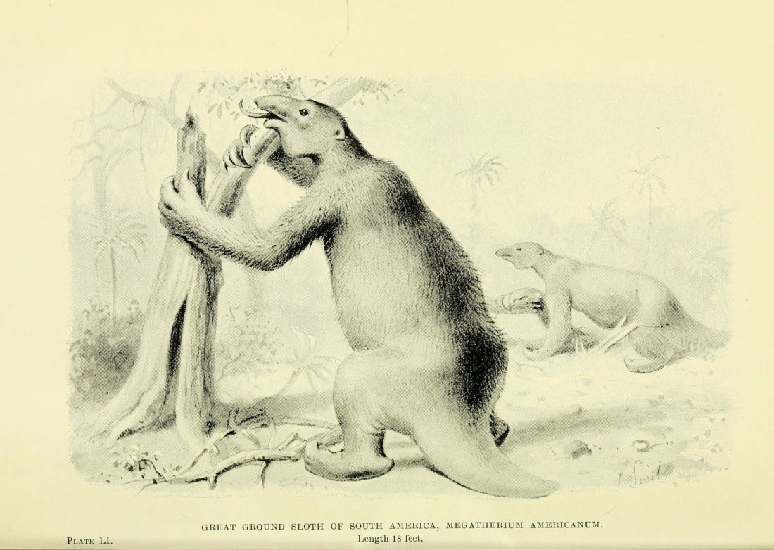 Misterija ispod Brazila: Otkriveni tuneli stari hiljadama godina koje nisu iskopali ljudi (FOTO)