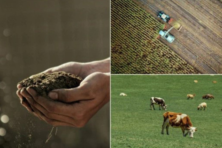 Tri ključna programa za selo: Isplaćeno 97,6 milijardi dinara