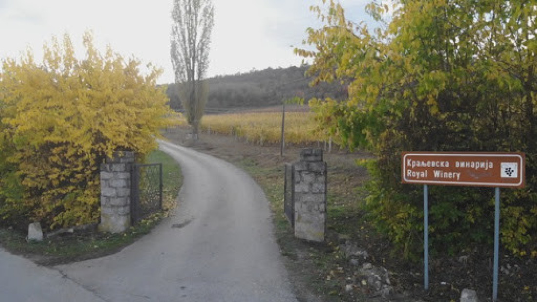 Berba grožđa u srpskoj Toskani u jeku: Iz vinograda Karađorđevića ove godine očekuje se do 25.000 litara najboljeg vina (FOTO)