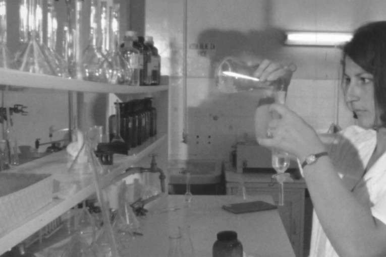 Srbi hrle po prirodni lek: Biljka koja briše stres postala prava pomama!