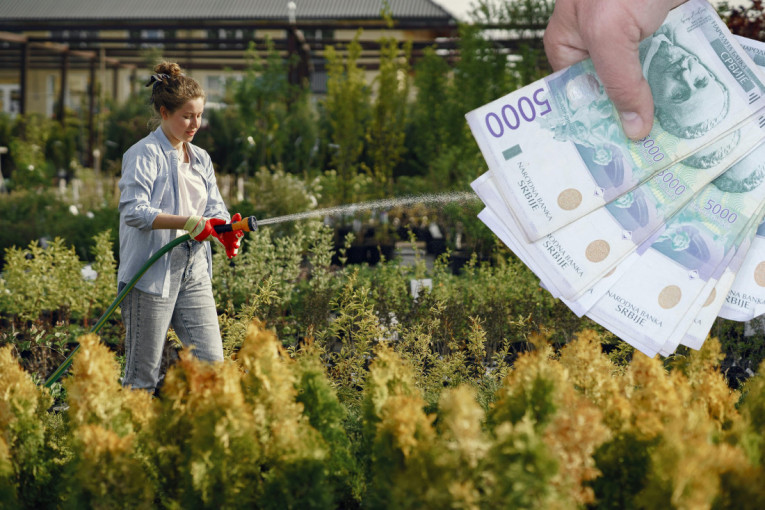 Mesarović: Konkurs za program podrške zanatlijama u ponedeljak, pomoć do 300.000 dinara