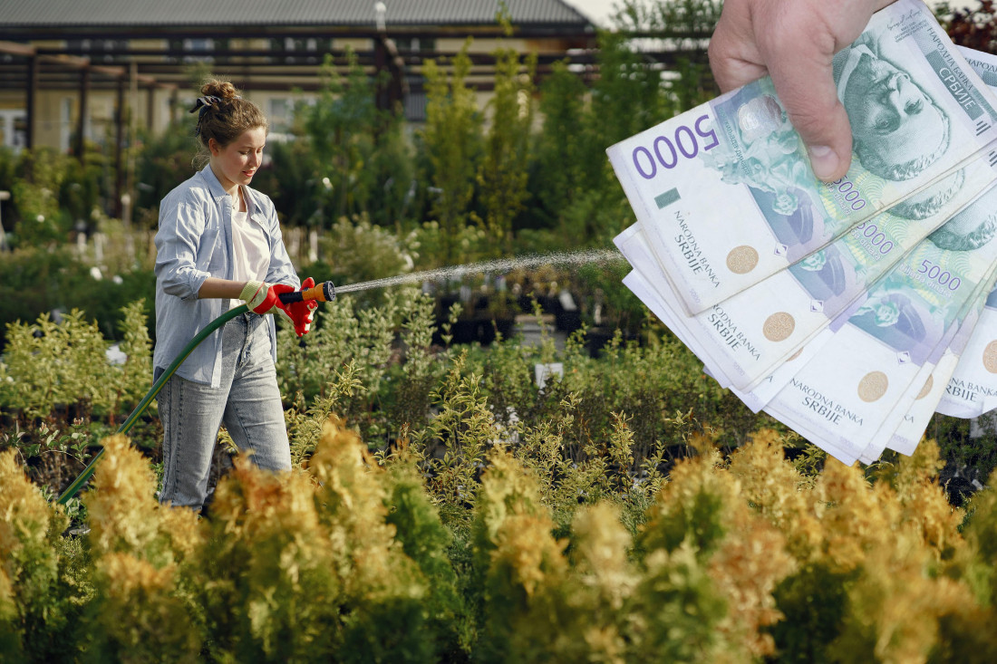 Jači od hibrida! Zoran spasio gološijana iz Banata (FOTO)