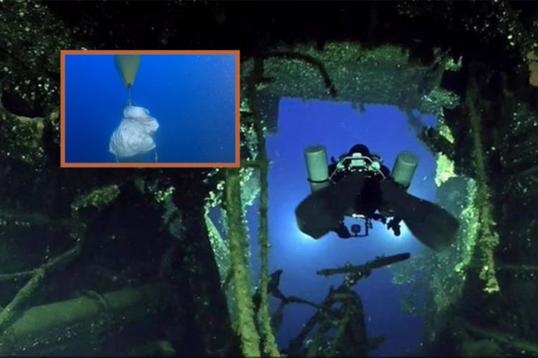 Burna istorija čoveka i prirode: Kit pronađen sa harpunom u telu starim više od jednog veka