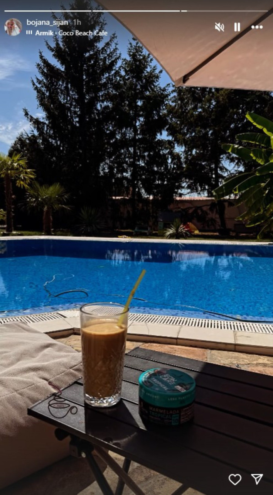 Palme, bazen i čist hedonizam! Ovako izgleda dvorište Mirka i Bojane Šijan (FOTO)
