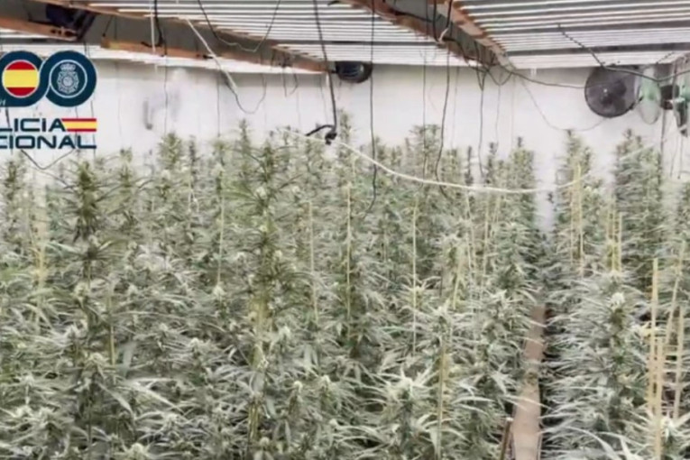 Prve slike i snimci spektakularnog hapšenja saradnika Darka Šarića: Zaplenjeno 60 kilograma narkotika! (FOTO/VIDEO)