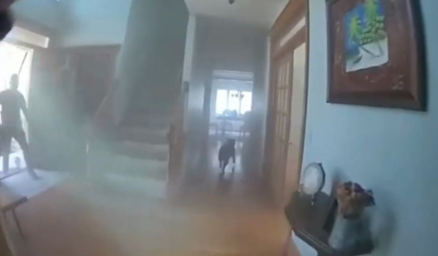 Kako je jedan pametni pas pomogao policiji da ga spase iz kuće u plamenu (VIDEO)