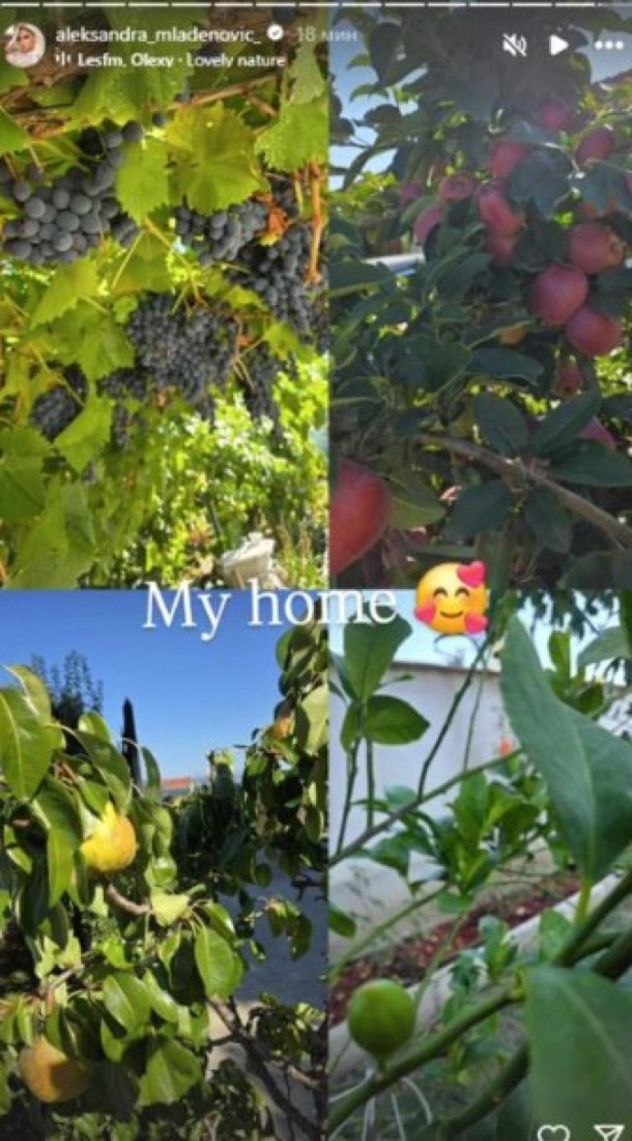 Aleksandra Mladenović pokazala deo svog imanja u Žitorađi: Sve što su zasadili je rodilo! (FOTO)
