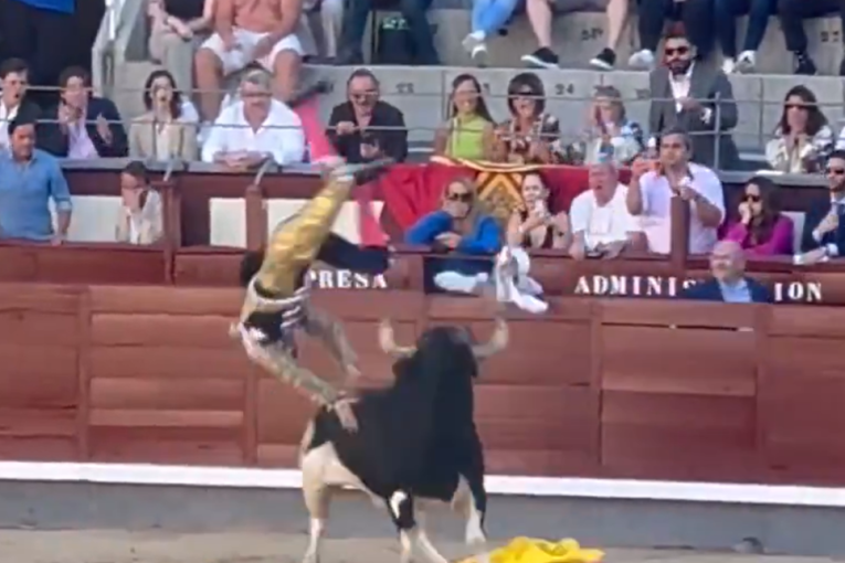 Bik izbo toreadora u areni! Bacio ga rogovima u vazduh, nije znao šta ga je snašlo! (VIDEO)