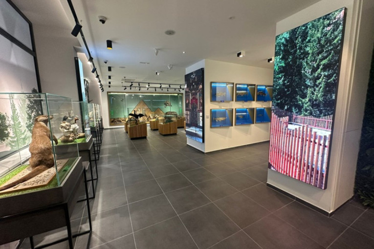 Tokom vikenda besplatan obilazak Prirodnjačkog centra u Ovčar Banji! Izloženi eksponati retkih i zaštićenih vrsta ptica (FOTO)