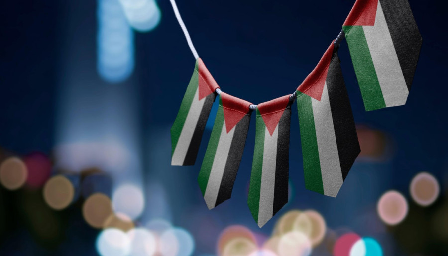 Formiran savez 12 zemalja za Palestinu: Imaju jedan zajednički cilj