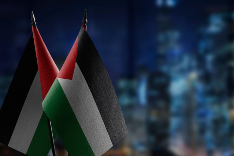 Formiran savez 12 zemalja za Palestinu: Imaju jedan zajednički cilj