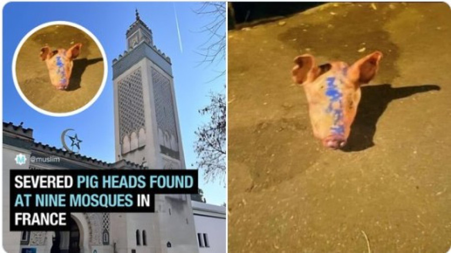 Velika akcija: Podneta krivična prijava protiv 104 osobe, sumnja se da su oštetili budžet Srbije za više od 246 miliona dinara!