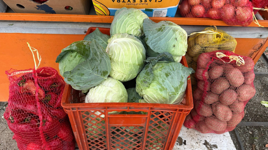 Dana sve što proizvede iz njive nosi odmah na tezgu pored puta: Paprika i kupus odličnog kvaliteta, a cene pristojne (FOTO)