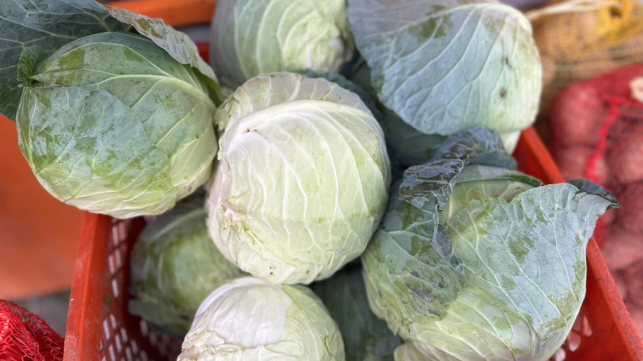 Dana sve što proizvede iz njive nosi odmah na tezgu pored puta: Paprika i kupus odličnog kvaliteta, a cene pristojne (FOTO)