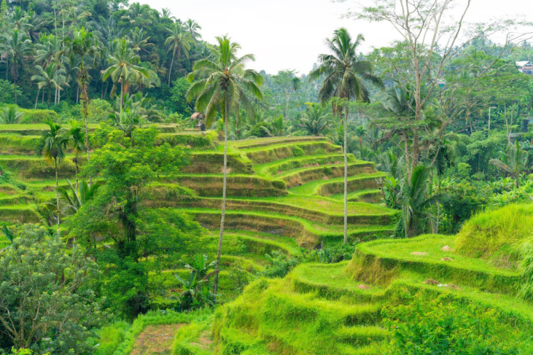Mesto koje menja pogled na svet: Vrištanje kao terapija i rajska priroda mame mnogobrojne turiste (VIDEO)
