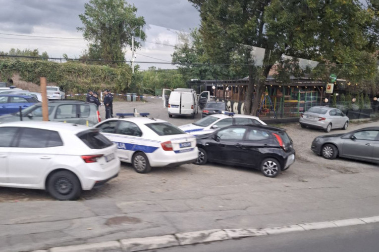 Najveća eutanazija svinja u Hrvatskoj – šteta 2,5 miliona evra