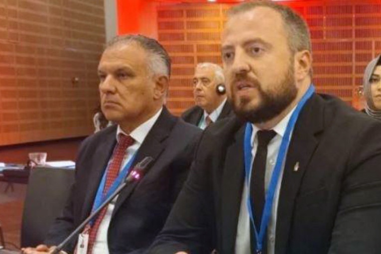 Mirković pred Savetom Evrope raskrinkao blokadere: Bilo je 24.000 nelegalnih protesta i 186 povređenih policajaca...