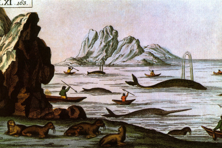 Stiže sa severa Japana: Izgleda kao loptica od pamuka i nosi titulu najslađe ptice na svetu