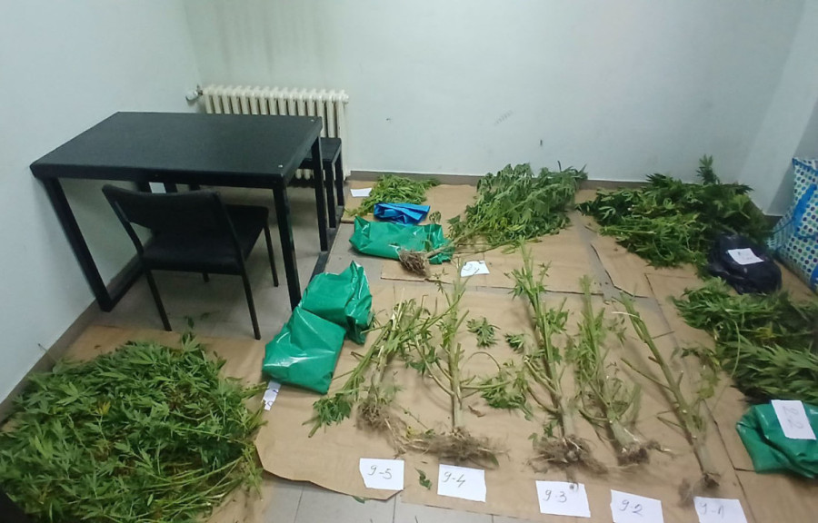 Užas u Kragujevcu: Devojčica oborena na pešačkom prelazu!