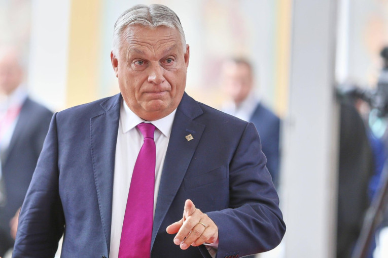 Užas! U ilegalnoj odgajivačnici pronađeni leševi čak 250 životinja!