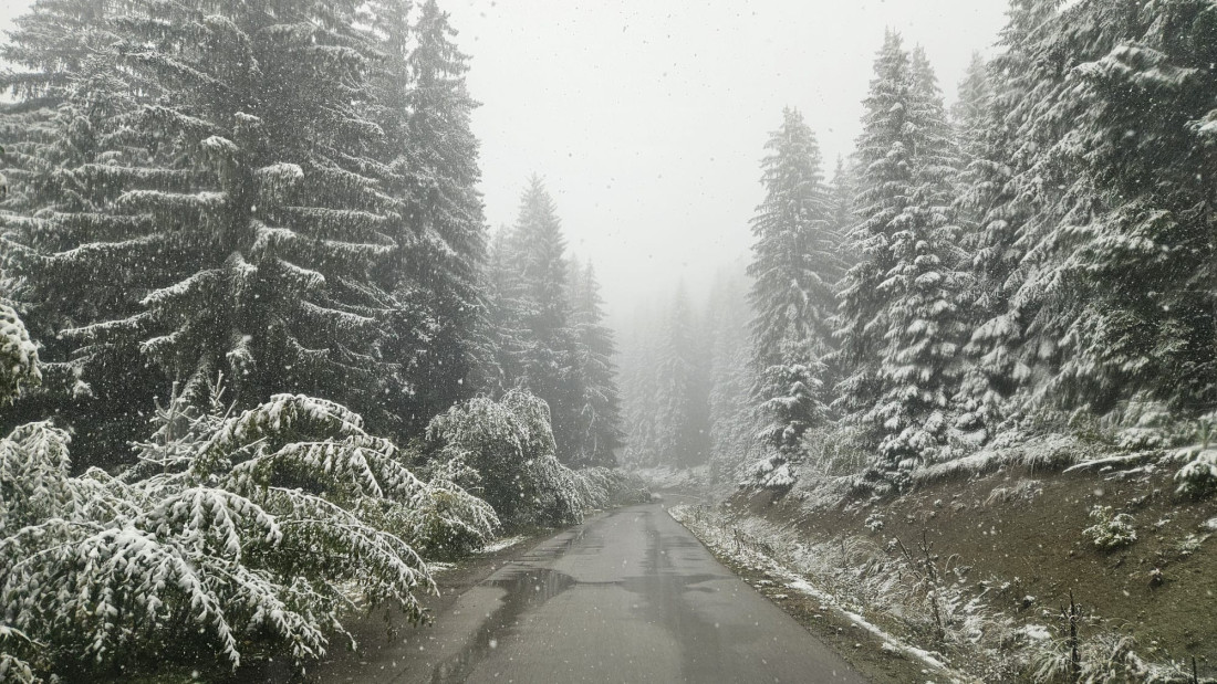 Snežna idila: Sneg prekrio i Zlatar (FOTO)