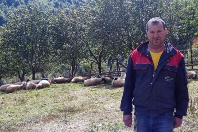 Medvedi i psi lutalice terorišu sela kod Priboja: Zaklali 17 ovaca!