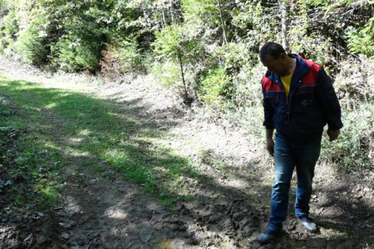 Medvedi i psi lutalice terorišu sela kod Priboja: Zaklali 17 ovaca!