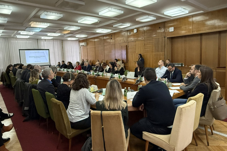 Đurđević Stamenkovski: Operativni program za zapošljavanje veliki korak za Srbiju