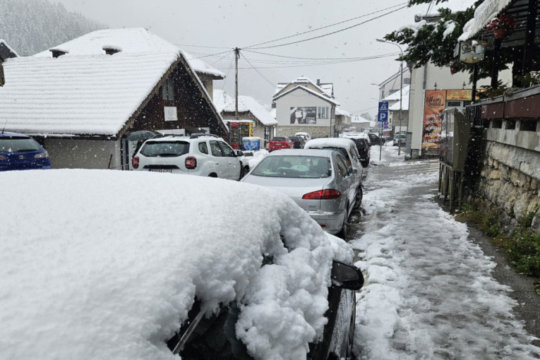 Borba sa nevremenom ne jenjava! Putevi okovani ledom, srušena stabla, grad paralisao saobraćaj (VIDEO)
