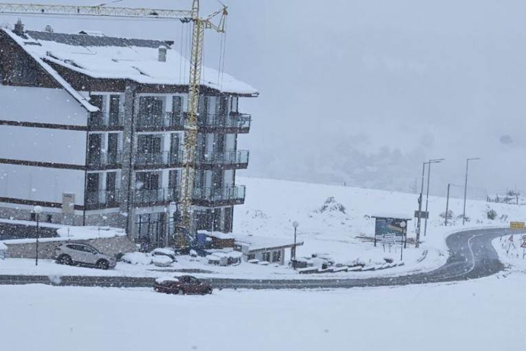 Dramatične scene na Sinjajevini: Vatrogasci posle sedam sati stigli do zarobljenih stočara! (FOTO)