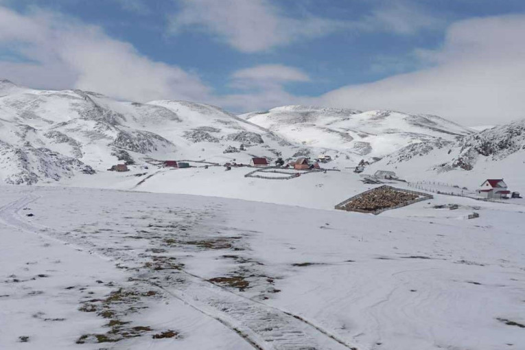 Dramatične scene na Sinjajevini: Vatrogasci posle sedam sati stigli do zarobljenih stočara! (FOTO)