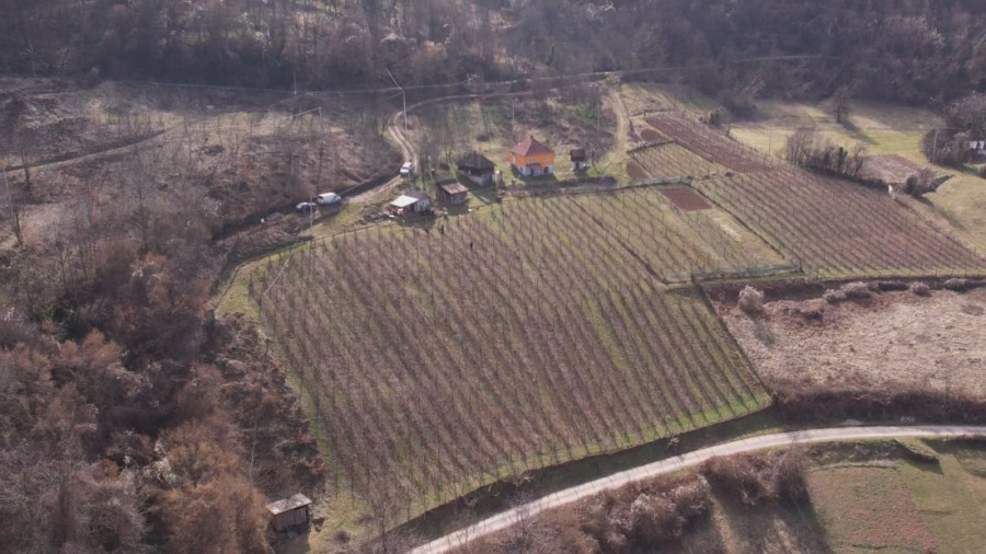 Srpska planina "buknula": Placevi se prodaju munjevitom brzinom, svi žele vikendice na ovim mestima!