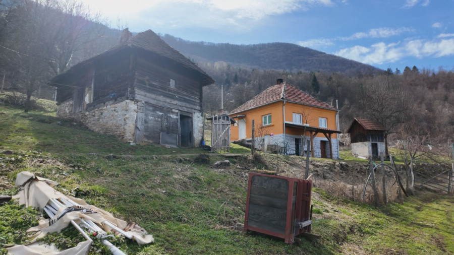 Srpska planina "buknula": Placevi se prodaju munjevitom brzinom, svi žele vikendice na ovim mestima!